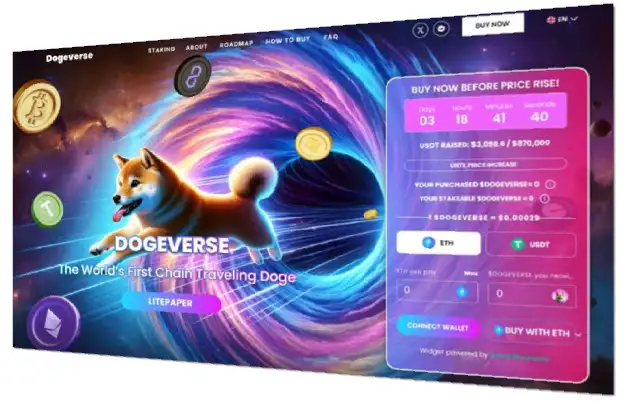 dogeverse coin 1