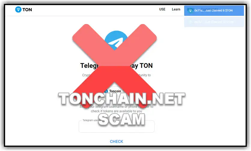 ton coin project 21