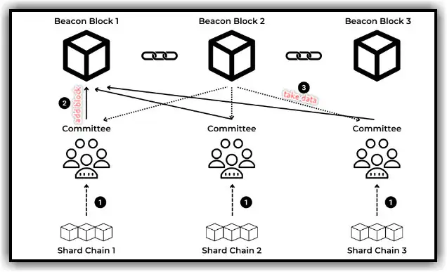 Beacon Block explanation