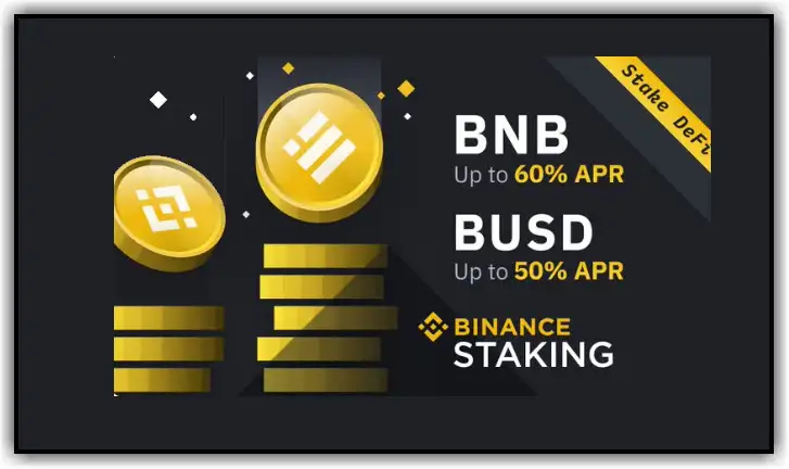 bnb staking