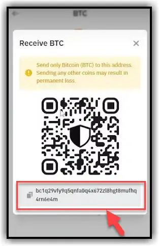 copy address bitcoin