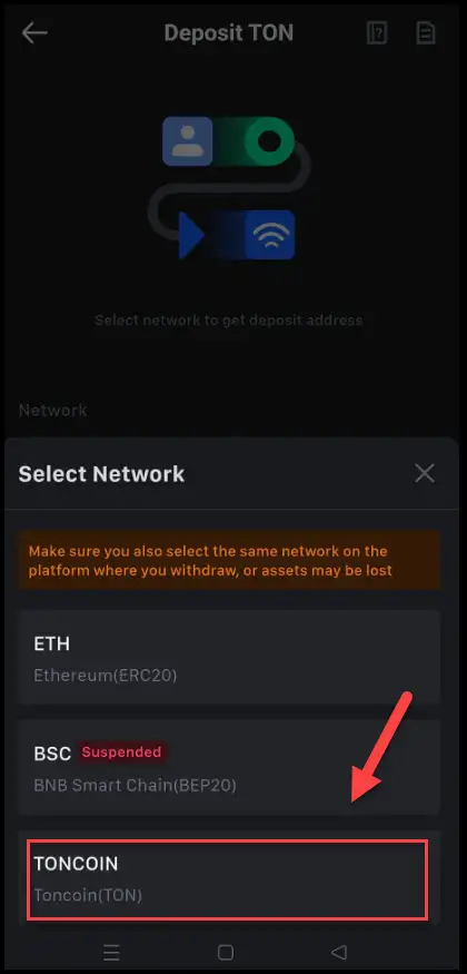 select network TON coin