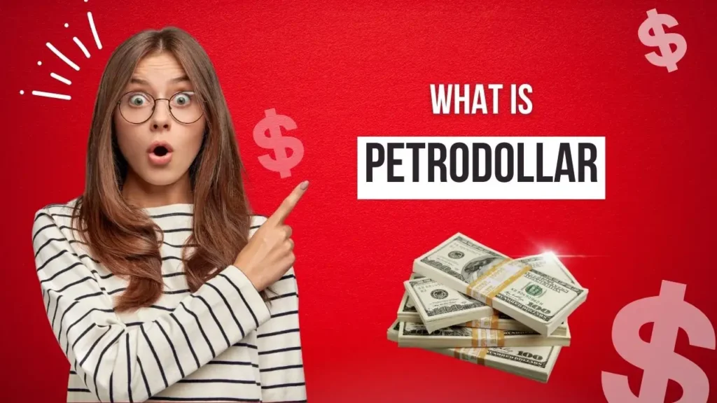 what is Petrodollar